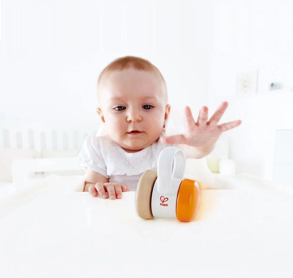 Rattle & Roll Toy Car - 8 months Rice material