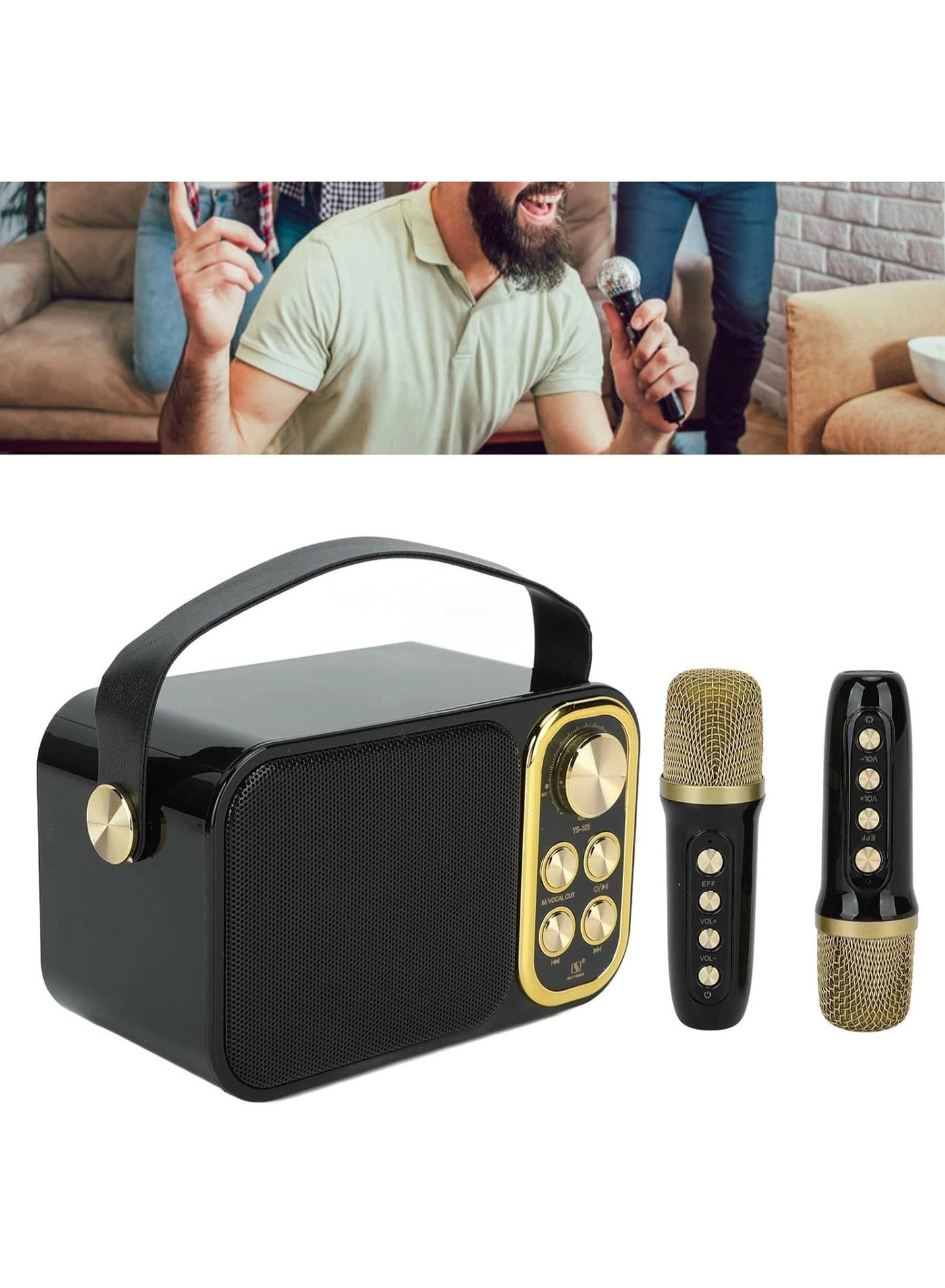 Outdoor Party Vocal Machine - 2 microphones