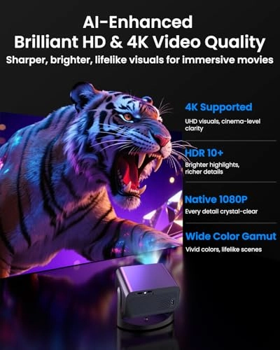 VH8 260 ANSI brightness