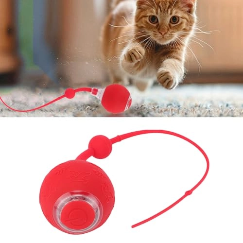Haofy ki6cwq758y, Cat Toy