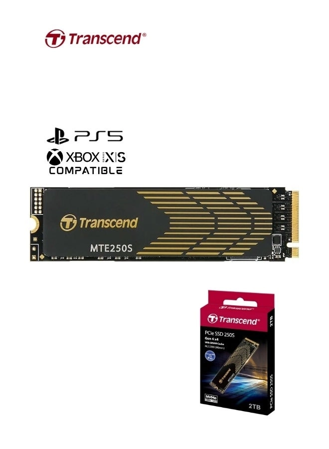 PCIe SSD 250S - 2TB M.2 2280