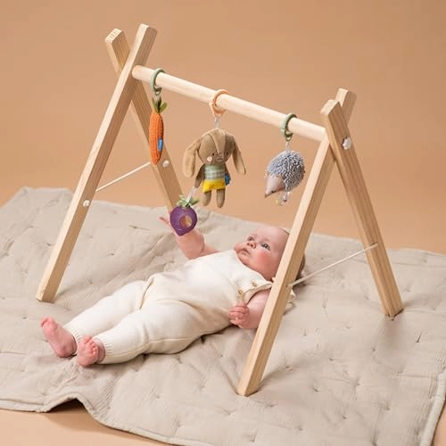 Urban Garden Baby Activity Toys Kit - Animal