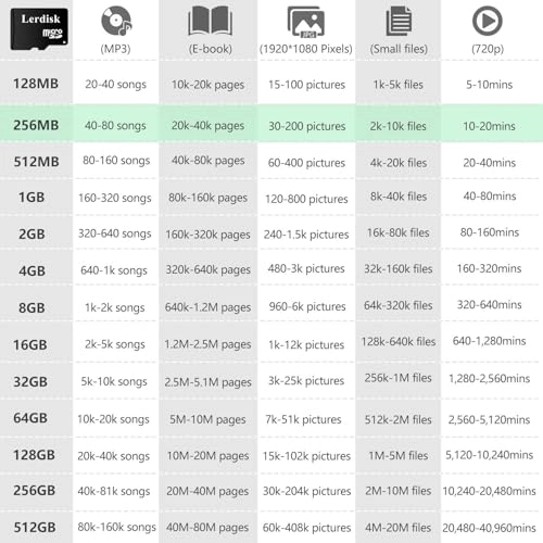 Micro SD Card - 0.2GB Pack