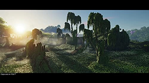 Ghost of Tsushima Director's Cut - PlayStation 5