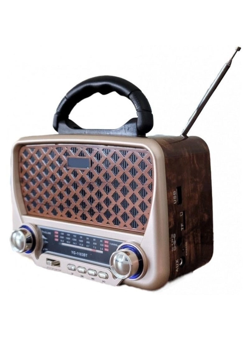 Bluetooth Radio Speaker - FM