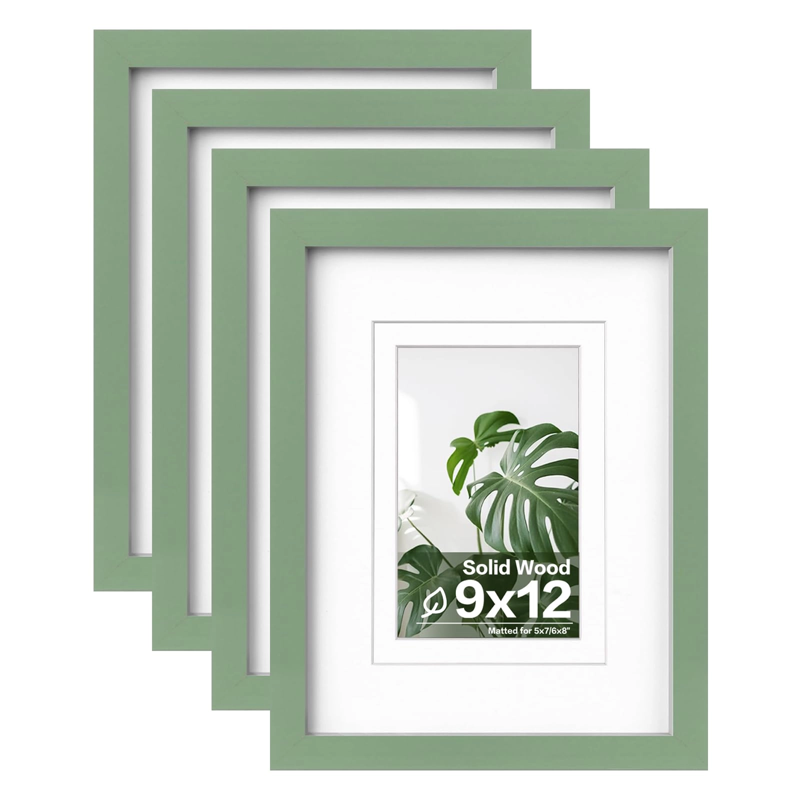 Picture Frames - 9x12