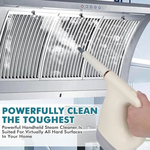 Handheld Steam Cleaner - 450ml