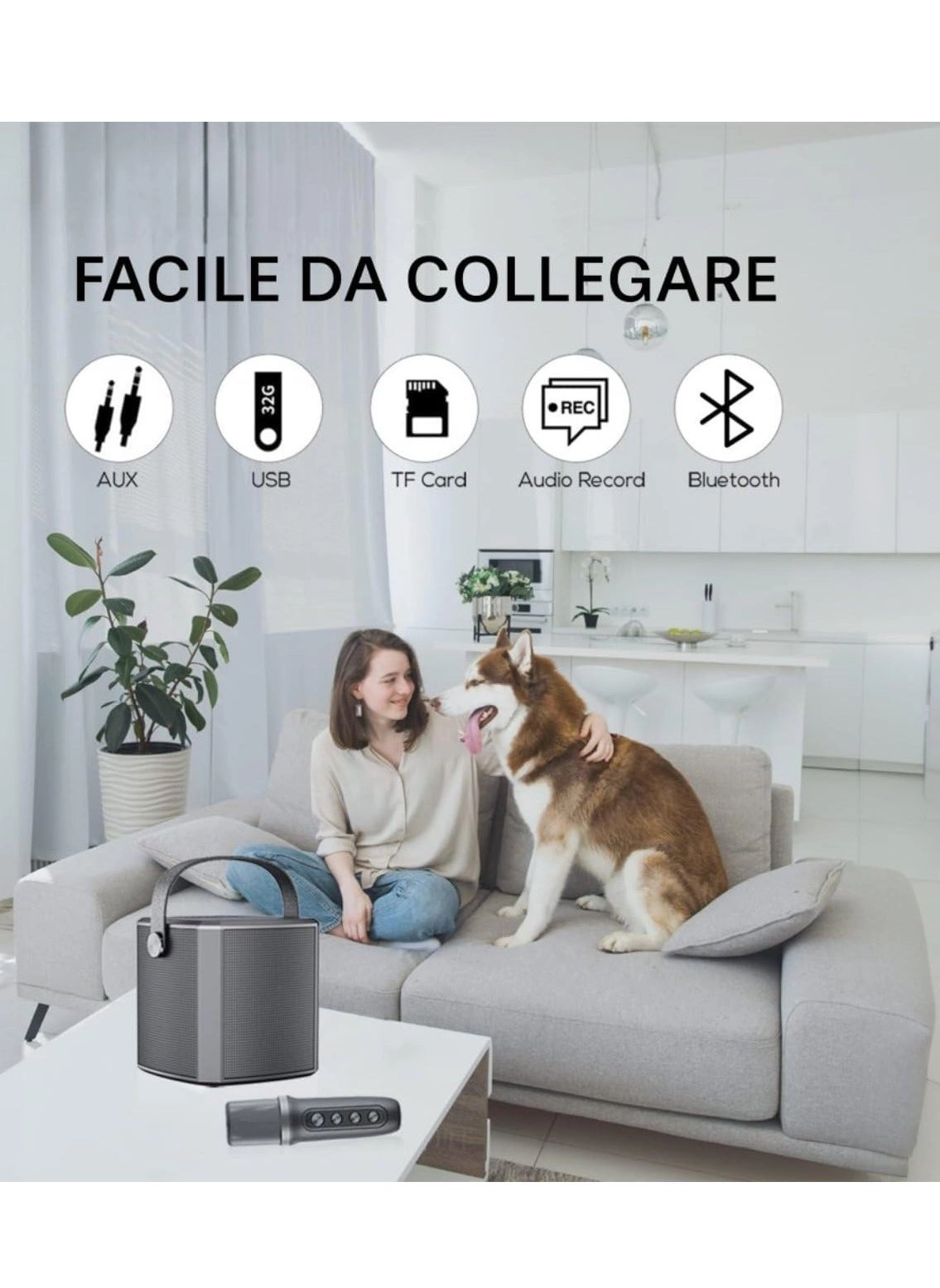 Portable Bluetooth Karaoke Speaker - Rechargeable wireless microphone Type-C charging TF Card support