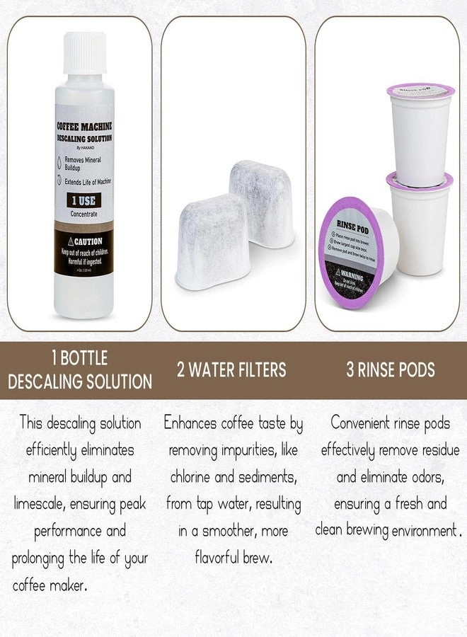 Brewer Care Cleaning Maintenance Kit - 3 Month + Descaling solution - 1 Bottle + Rinse Pods - 3 + Water Filters - 2