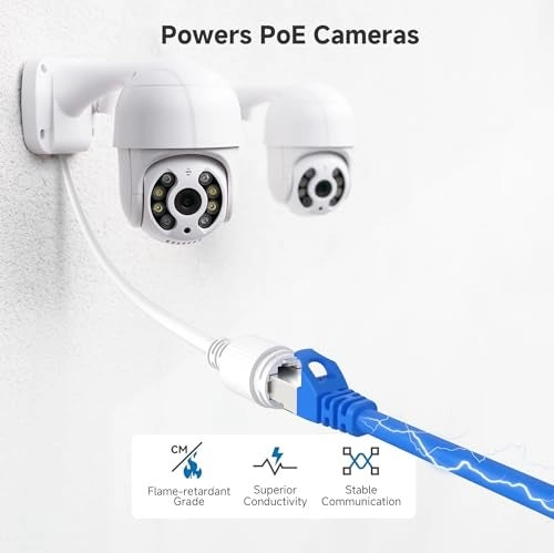 Cat 6A Ethernet Cable - 25ft