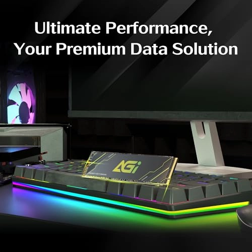 AI818-43 - 1TB 2280 Inches