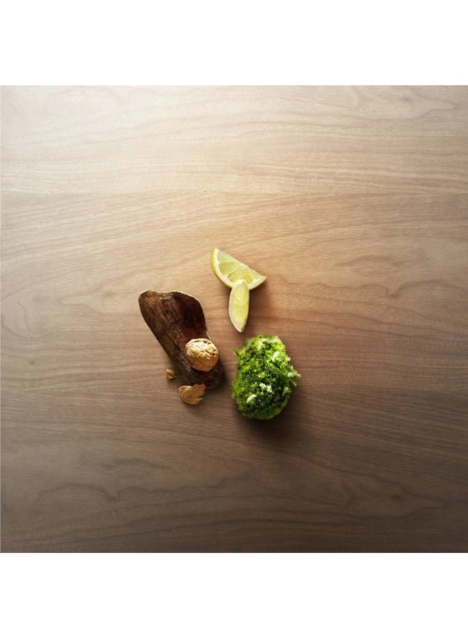 Wood Eau de Toilette 100 ml