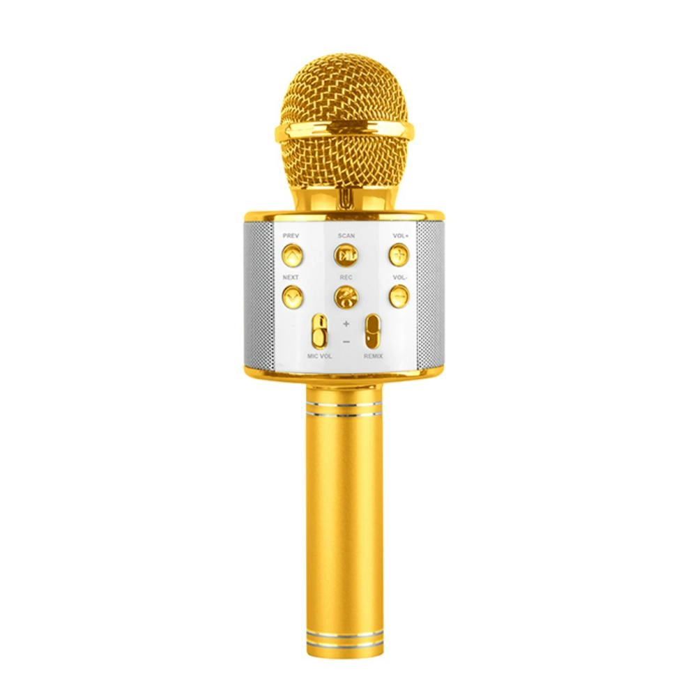 Karaoke Microphone - Suitable for 3 years and above