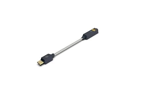 iFi GO Link - Portable DAC