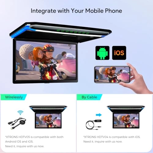 CM173HD - 17.3 Inches