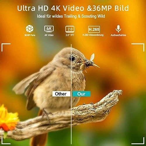 Luqeegg9im7vpg0k - 20MP