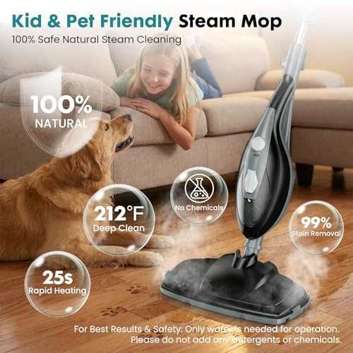Steam Mop