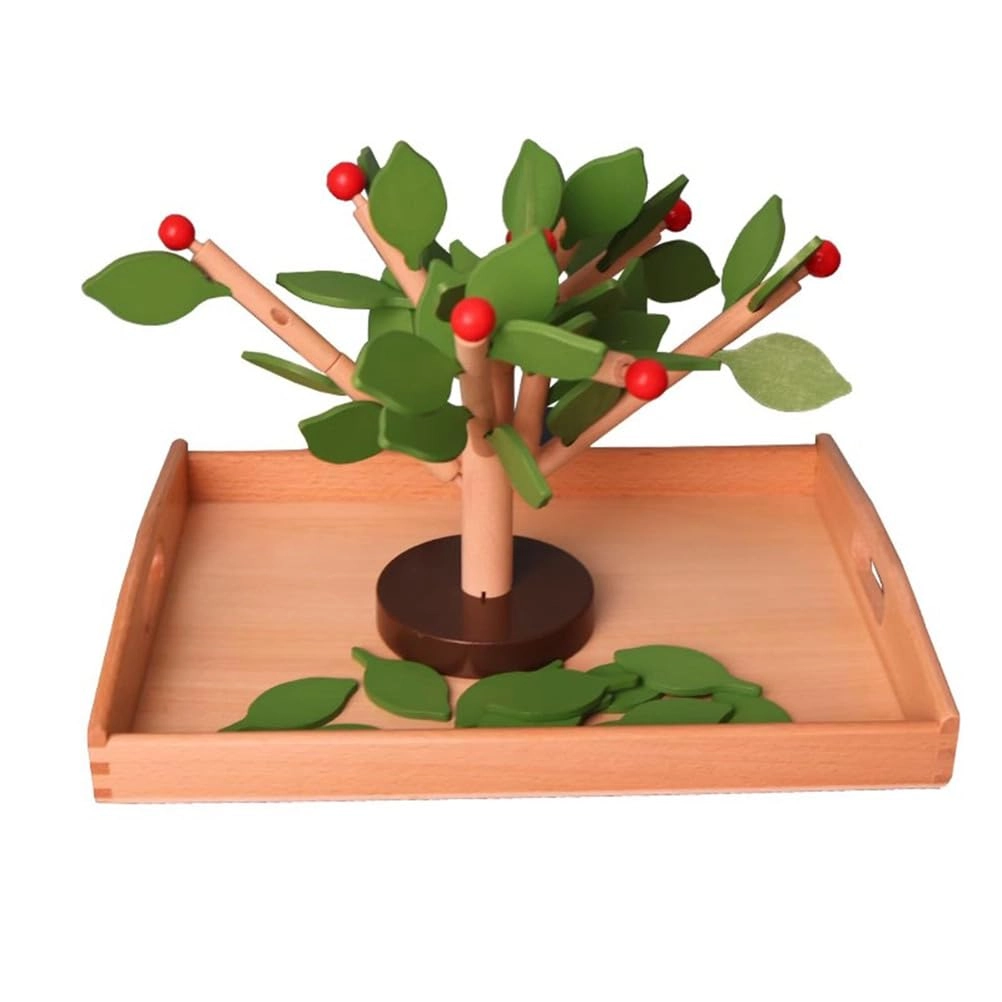 PHDSQERH Montessori Wooden DIY Assembling - 6 - 15 years