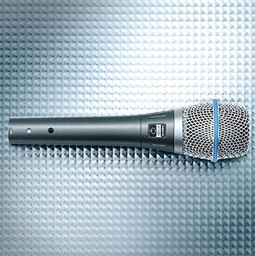BETA 87A XLR Microphone