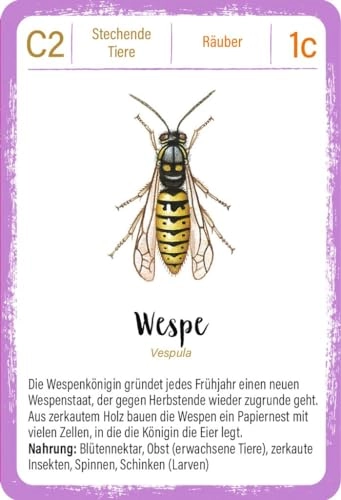 Expedition Natur Quartett Minimonster - Kid