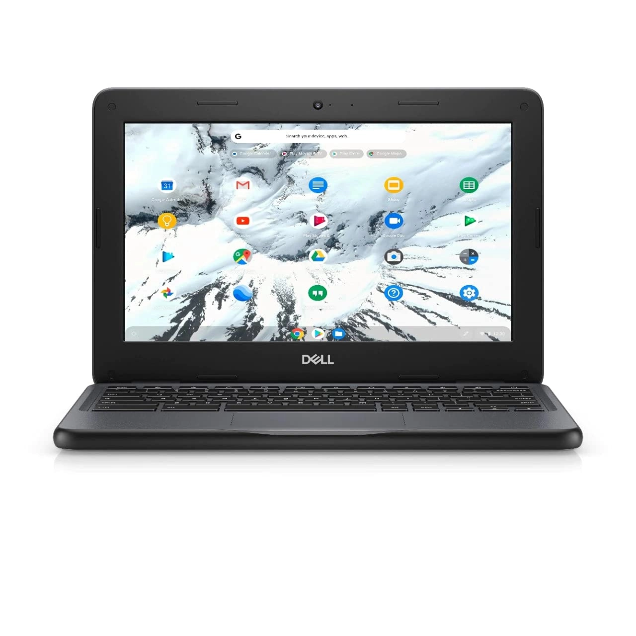 (Renewed) Chromebook 3100 - 11.6'' Celeron 4GB DDR4 16GB SSD