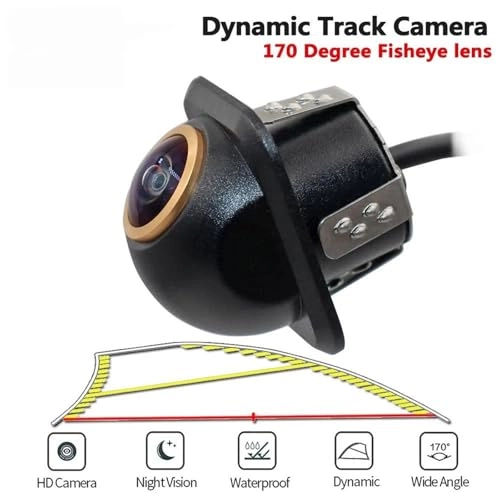 HS021 - CVBS 728 × 512