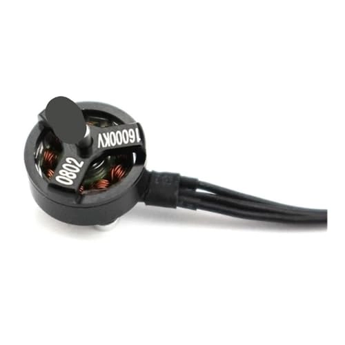 Brushless Motor