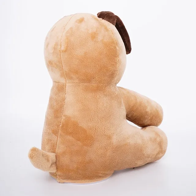 Peek A Boo Dash - 3 +