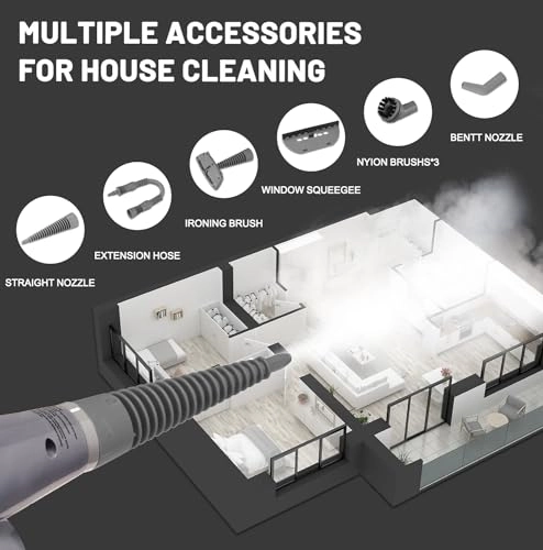 steam cleaner - 3.5E+2 Milliliters