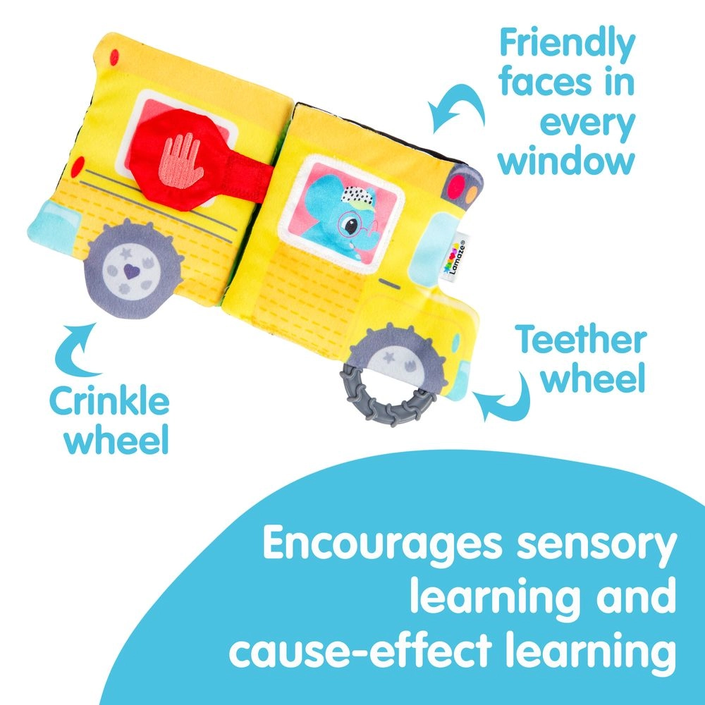 Accordion Bus - 6 months