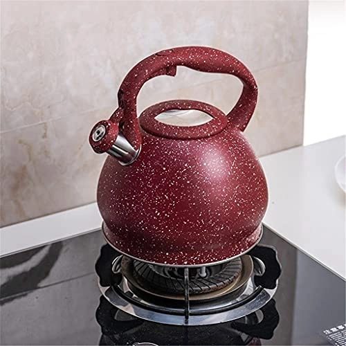 Stovetop Induction Whistling Kettle - 5L