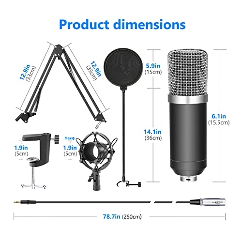 BM700 3.5mm-Mini-Jack+XLR Microphone