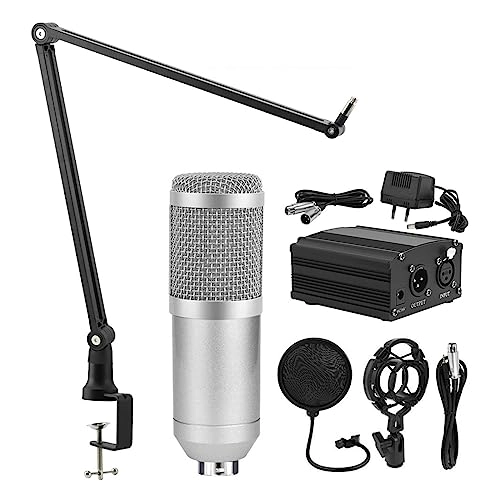 V8 Wired Microphone