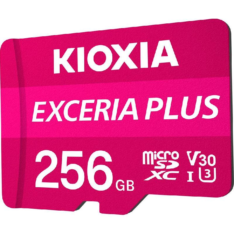 Kioxia Exceria Plus - 256GB