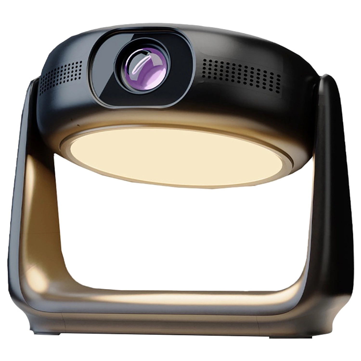 PWHDPBNBK 300 ANSI Lumens