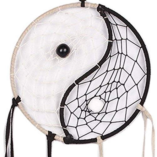 Dreamcatcher - Siderosphere, feathers, lines, wood beads.