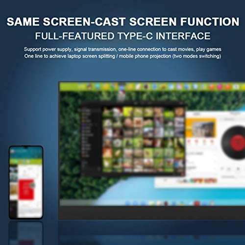 Display - 17,3'' Display,HDMI/TYPE-C/3,5MM Buchse 17.3 Inches 1920 x 1080