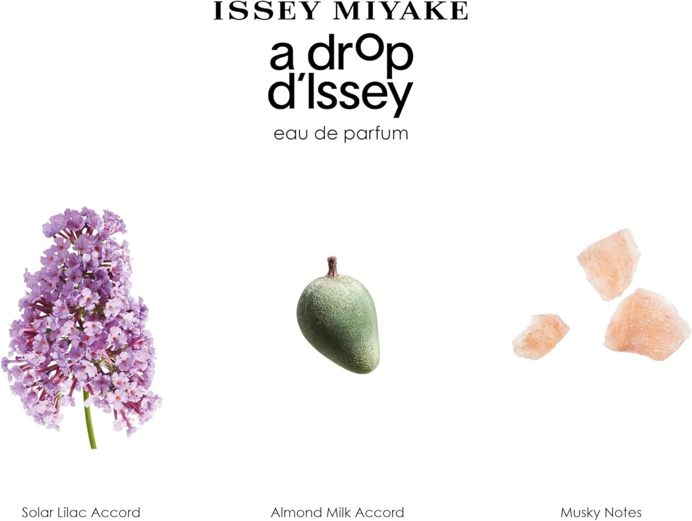 Ansaam Silver Eau de Parfum 100ml