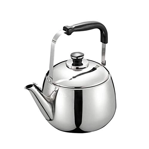 Stovetop Induction Whistling Kettle - 5L