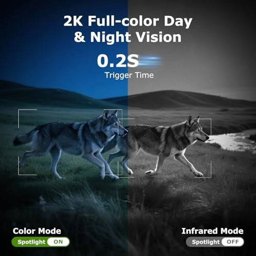 RBX-S80 - 4G LTE 3MP