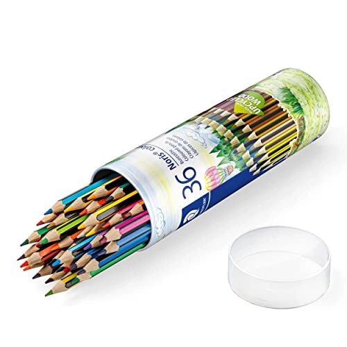 Noris Coloured Pencils - 36 Pcs