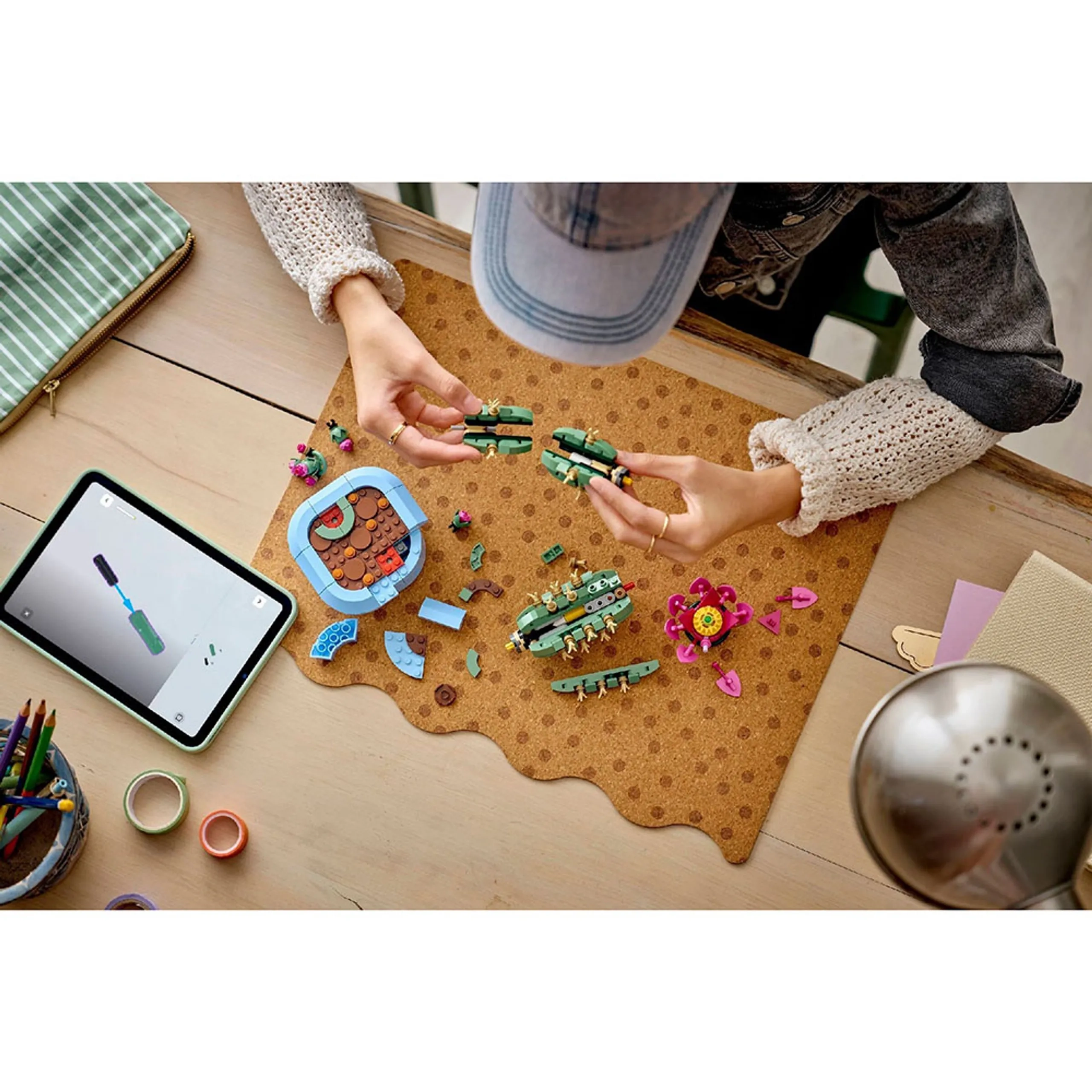 Flowering Cactus (11509)