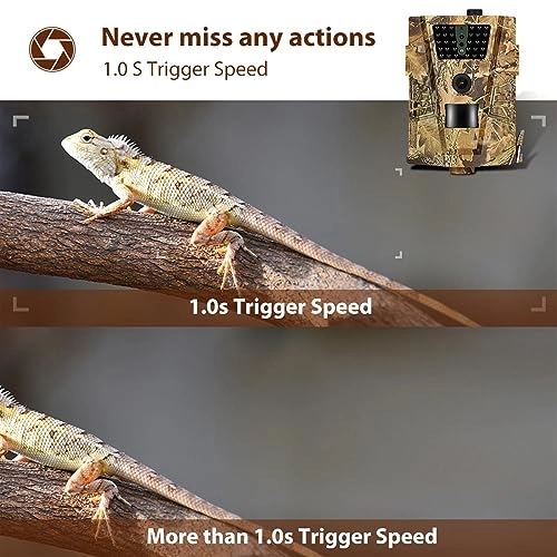 Wildlife Hunting Camera - 5MP