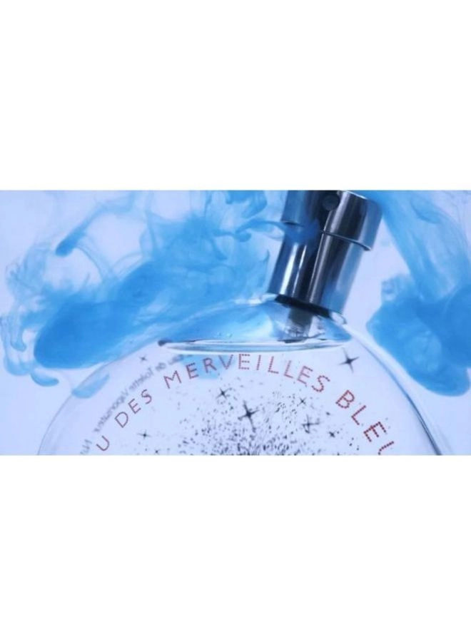 Eau Des Merveilles Eau de Toilette 100ml