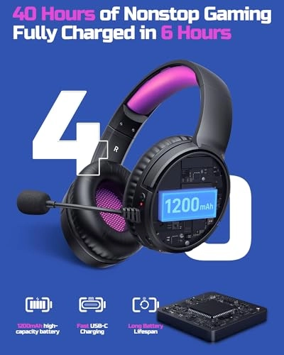 BW02-BT Wireless Headset