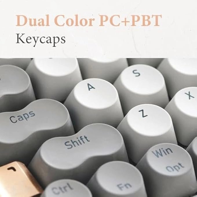 ZERO ARTZ - Wired/Wireless