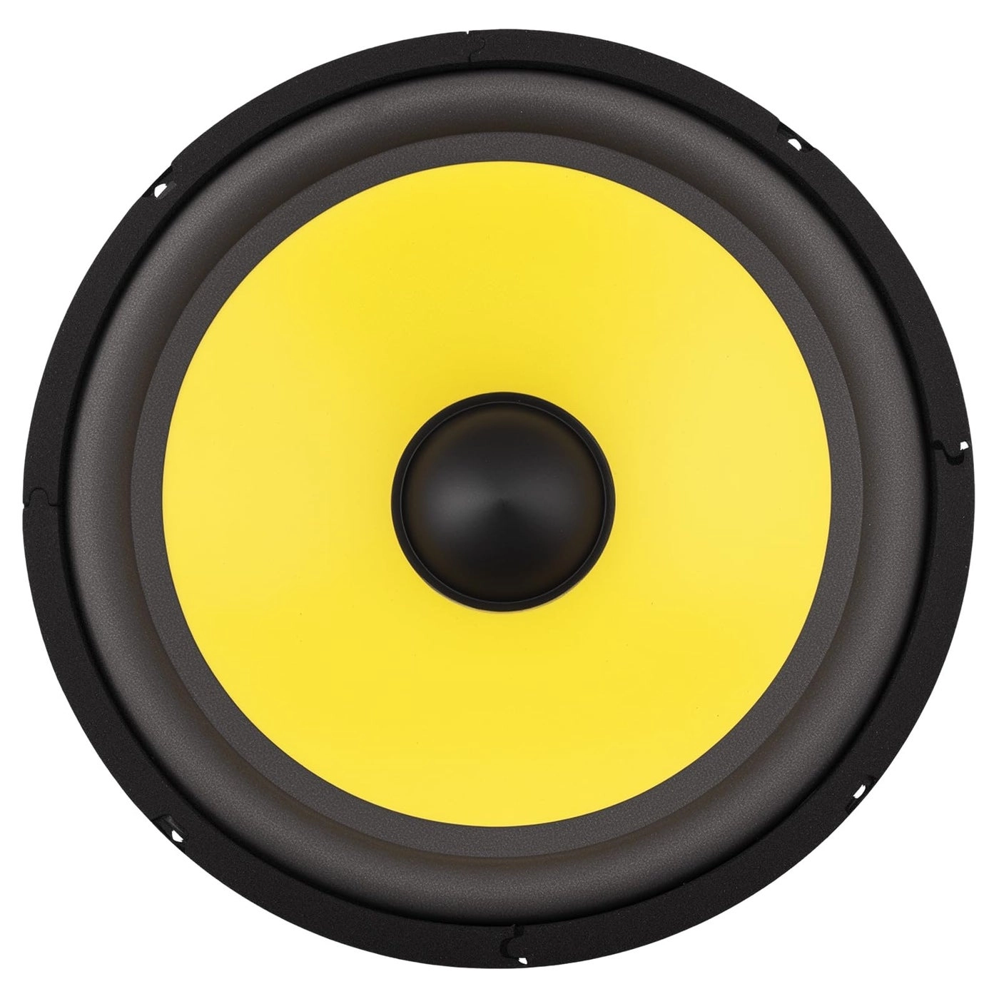 DriSentri Woofer Speaker - 10 Inch Wide Frequency Response