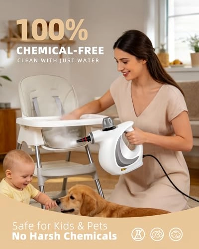 Steam Cleaner - 350ml