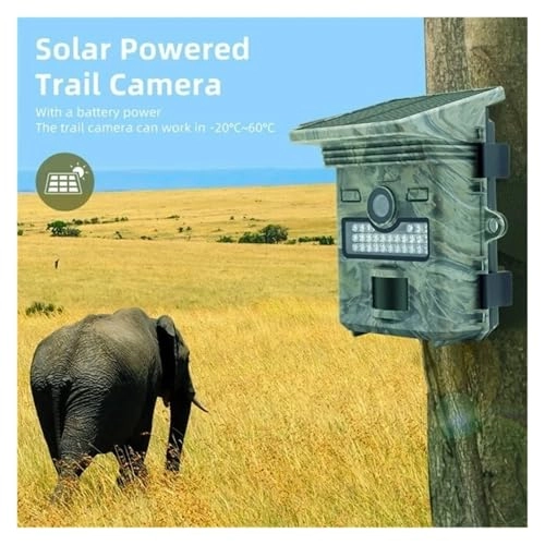 Wildlife Camera - 20MP