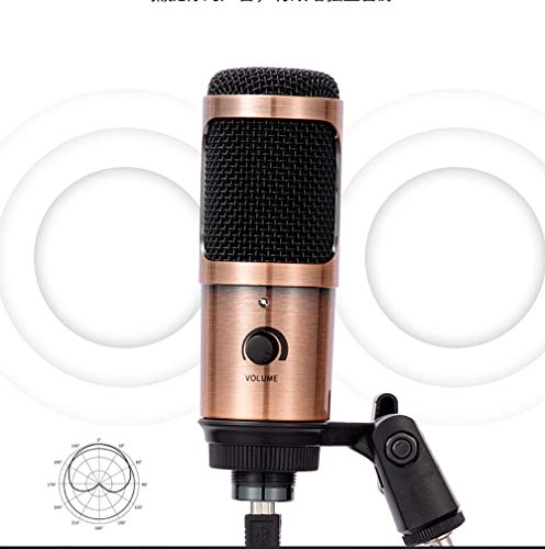 GDJvygb USB Microphone